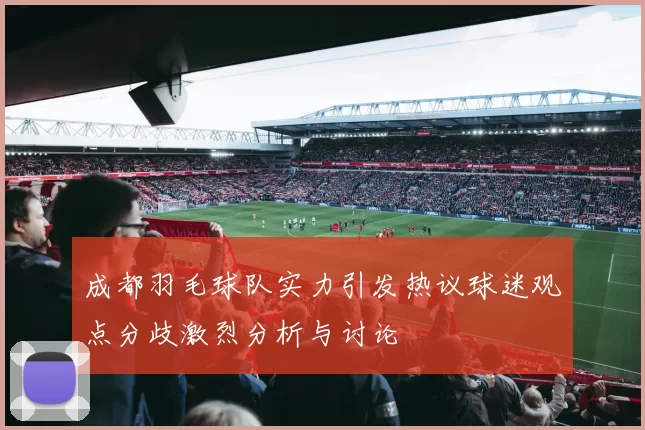 成都羽毛球队实力引发热议球迷观点分歧激烈分析与讨论