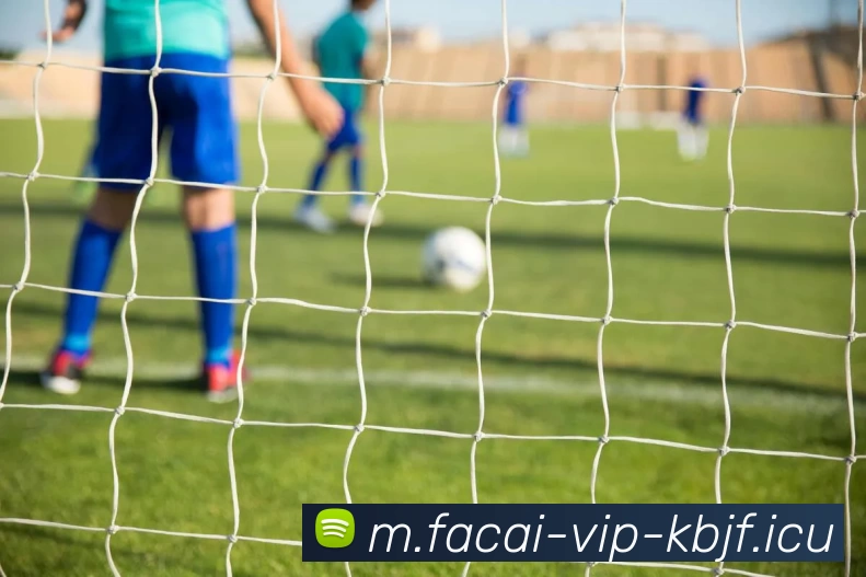 米兰体育APP 封面图